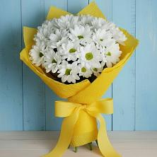 Букет цветов из:  Хризантемы в Бугуруслане