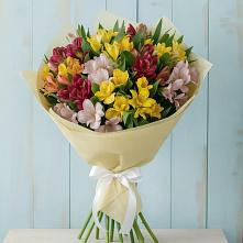 Букет цветов из:  Альстромерии в Бугуруслане