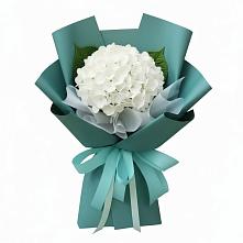 Букет цветов из:  Гортензия в Бугуруслане